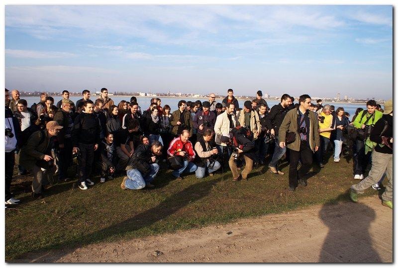 portret-de-alexds-26