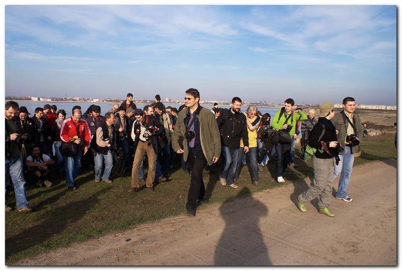 portret-de-alexds-28