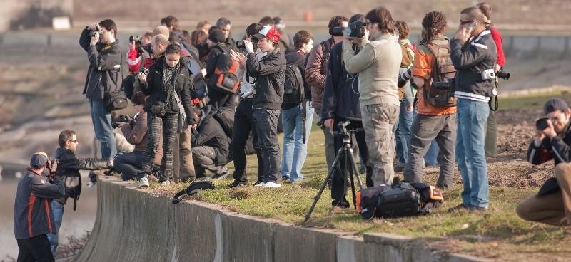 portret-de-dinu-lazar-15