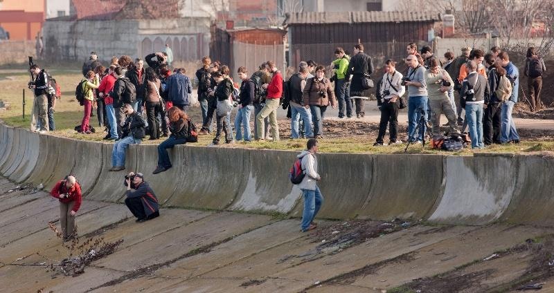 portret-de-dinu-lazar-17