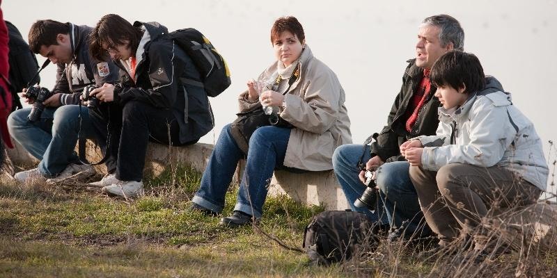 portret-de-dinu-lazar-22