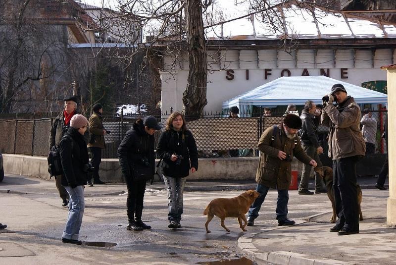 portret-de-catalin-paraschiv-7