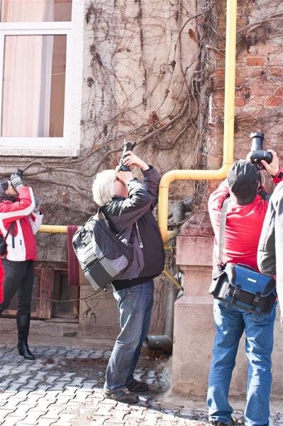 portret_cristi_roberto_foisorul_de_foc_005