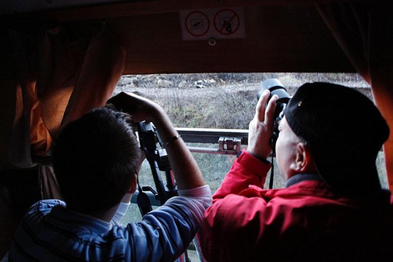 grup_01_de-cristi_nyaguly