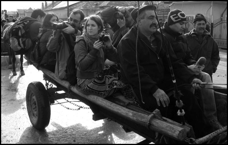 in-caruta-facuta-de-ana-maria-neacsa