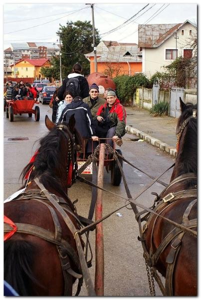 portret-de-alex-ds-14