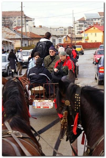 portret-de-alex-ds-15