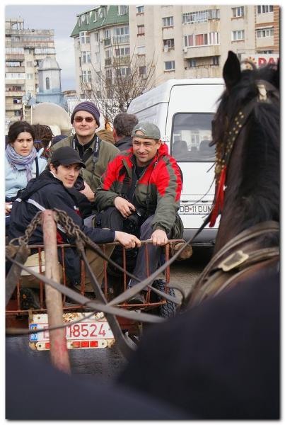 portret-de-alex-ds-17