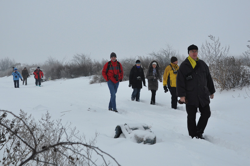 prin-nameti-de-dragos-oproiu