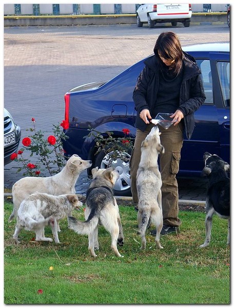 portret-de-alex-ds-42