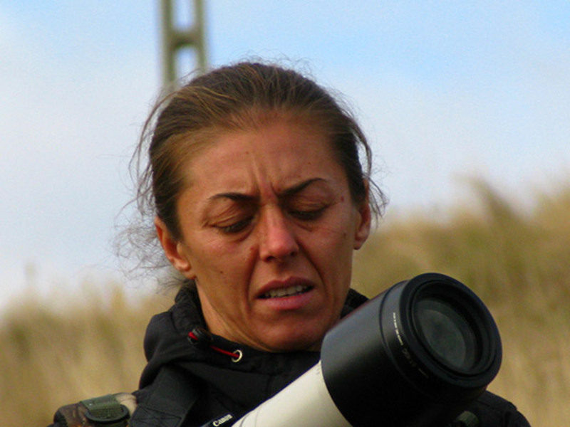 portret-de-corneliu-m-2