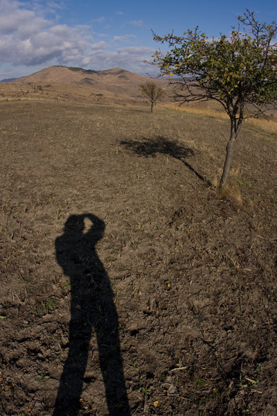 portret-de-cristian-b