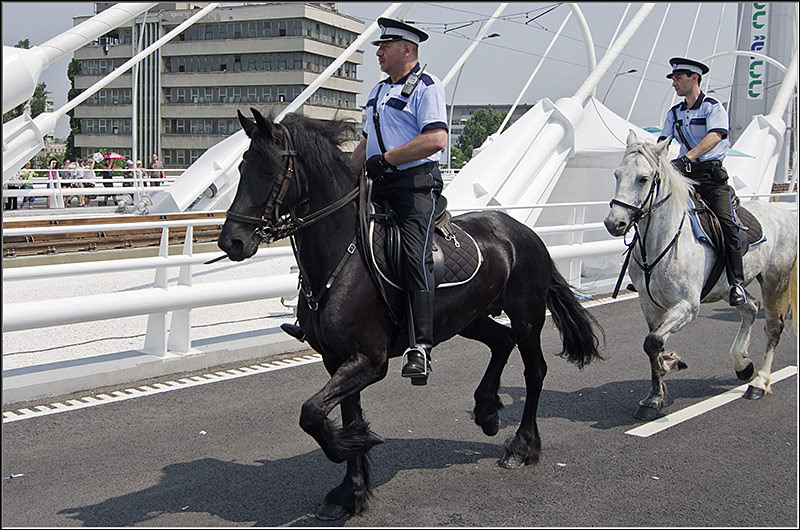 serban-vornicu_pasajbasarab_28