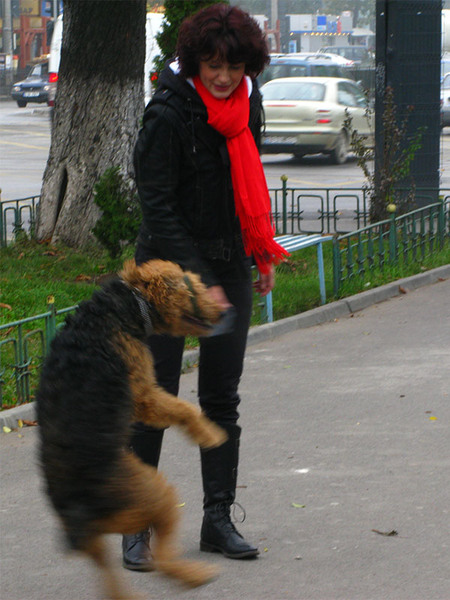 portret-de-corneliu-m-3