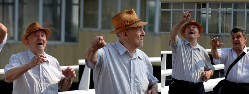 2-iete-domle-ce-facu-asta