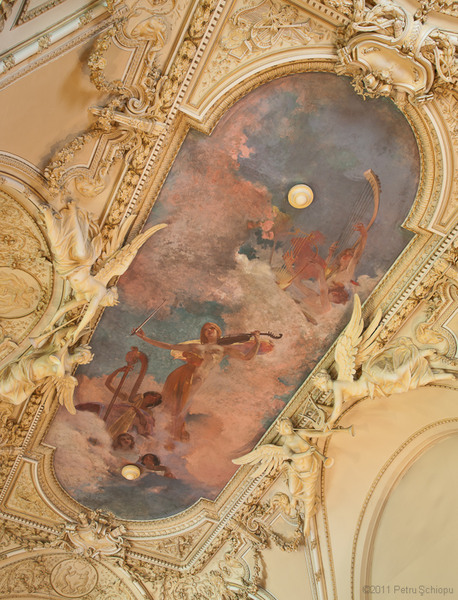 010-sala-3-decoratie-tavan