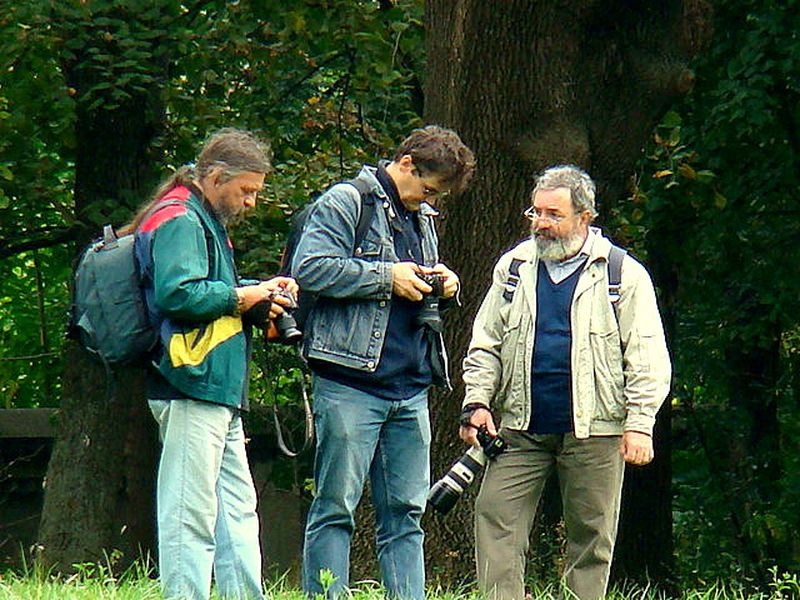 portret-de-adrian-m-7