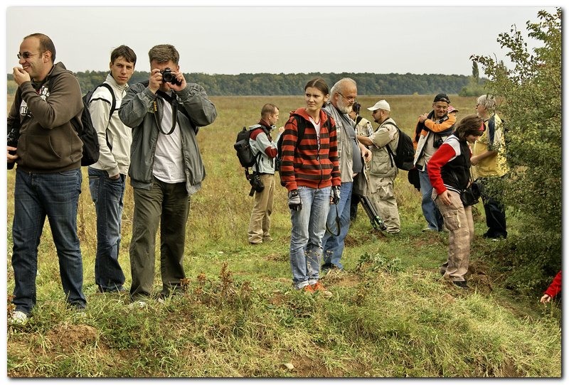 portret-de-alex-ds-10