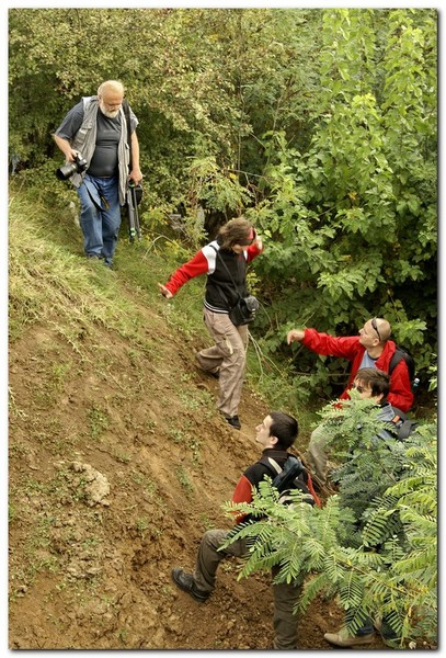 portret-de-alex-ds-12