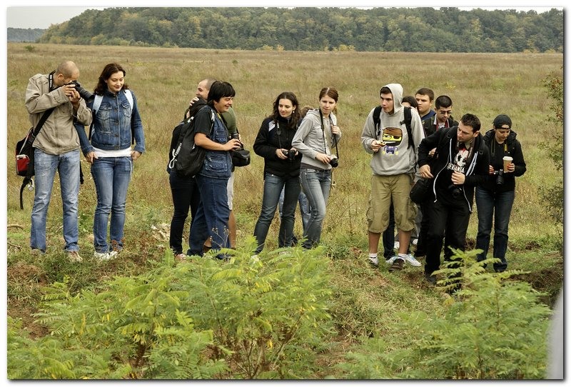 portret-de-alex-ds-13