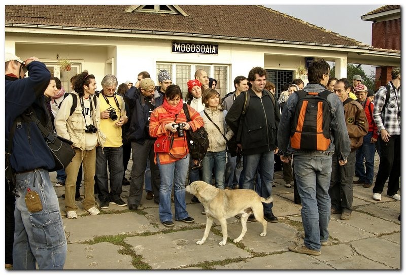 portret-de-alex-ds-3