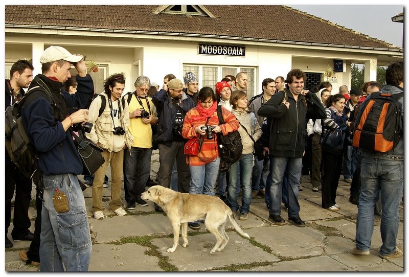 portret-de-alex-ds-4