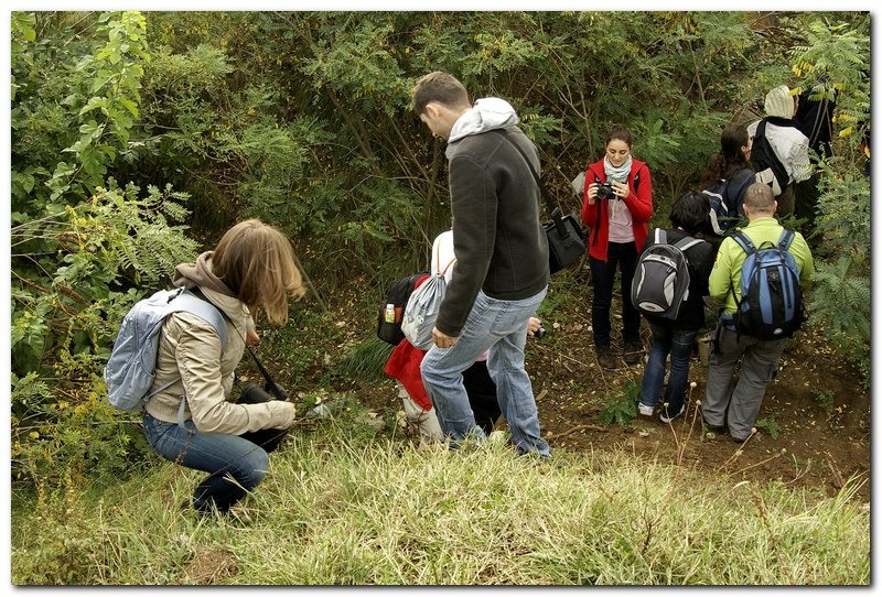 portret-de-alex-ds-6