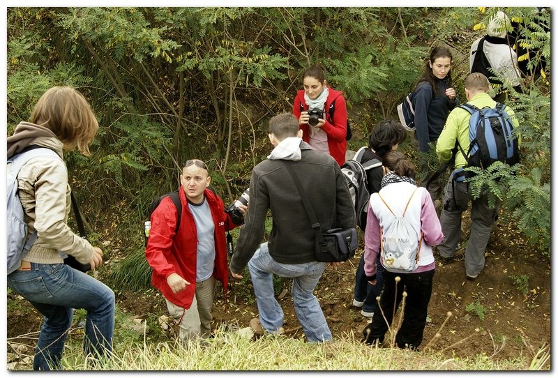 portret-de-alex-ds-7