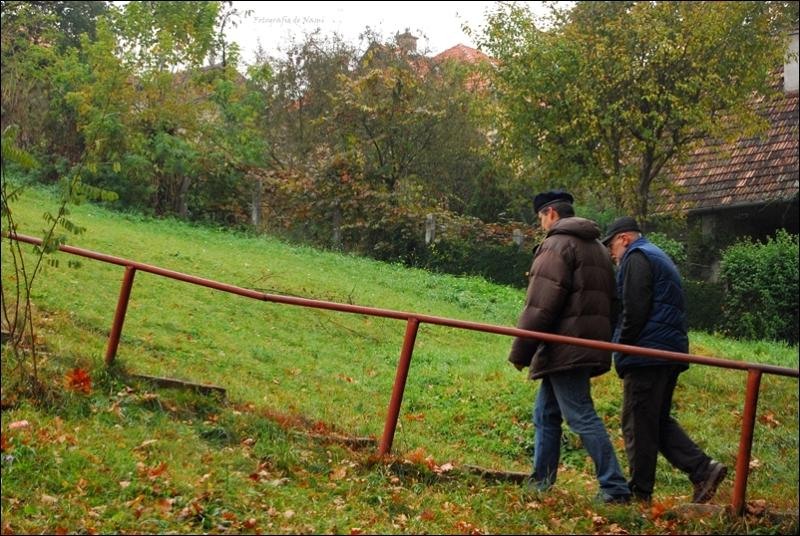 andrei-birsan-si-marius-iosif-nami