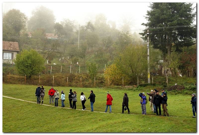 portret-de-alex-ds-11