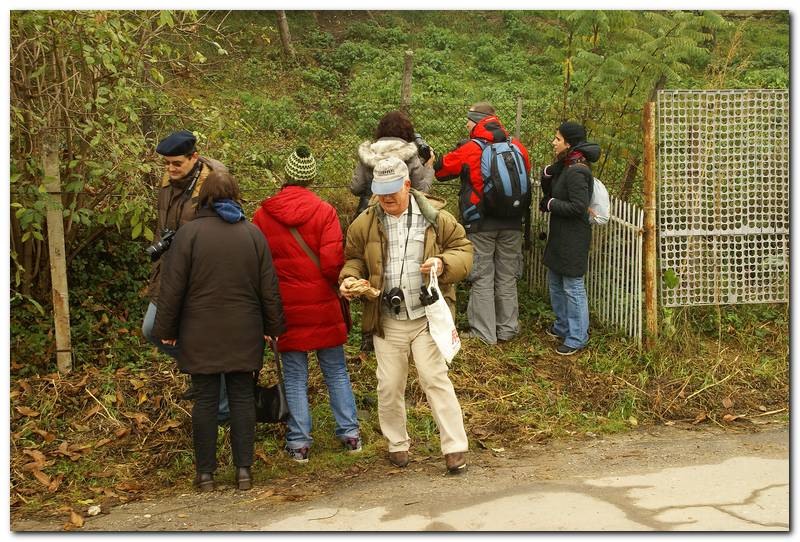 portret-de-alex-ds-17