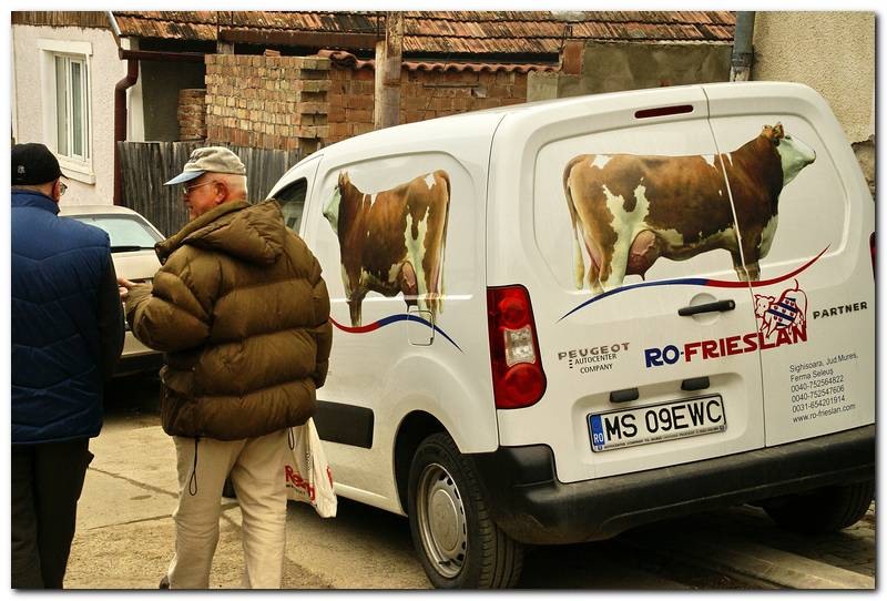 portret-de-alex-ds-18