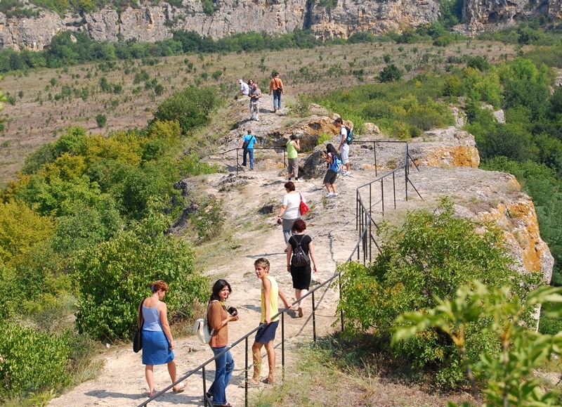 echipa-de-ana-maria-neacsa-1