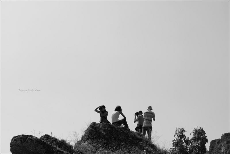 echipa-de-ana-maria-neacsa-2