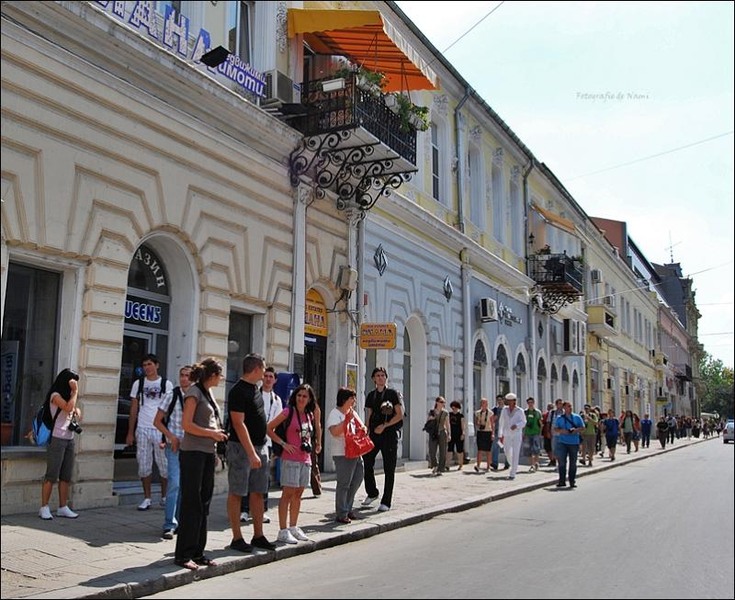 echipa-de-ana-maria-neacsa-4