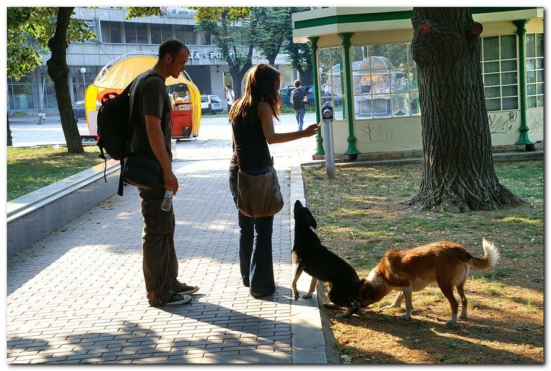 portret-de-alex-ds-77