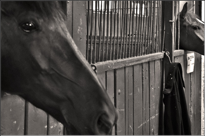 serban-vornicu_derbytrap_01