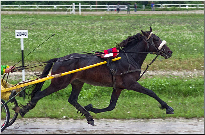 serban-vornicu_derbytrap_11