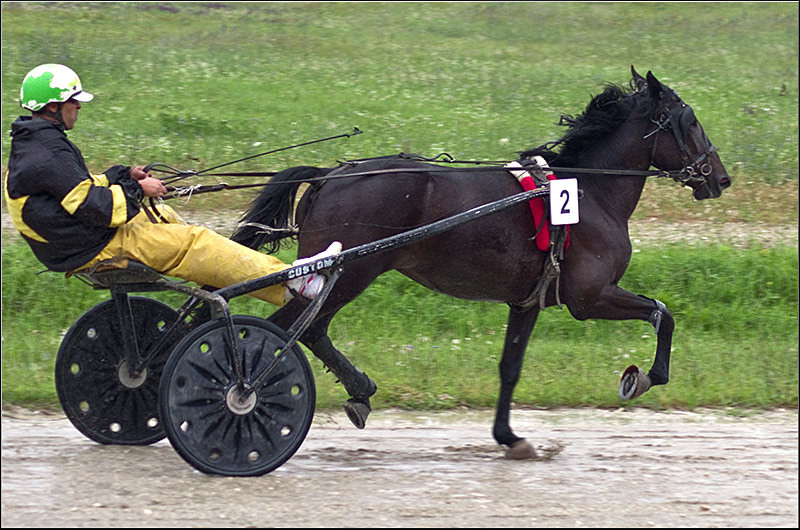 serban-vornicu_derbytrap_12