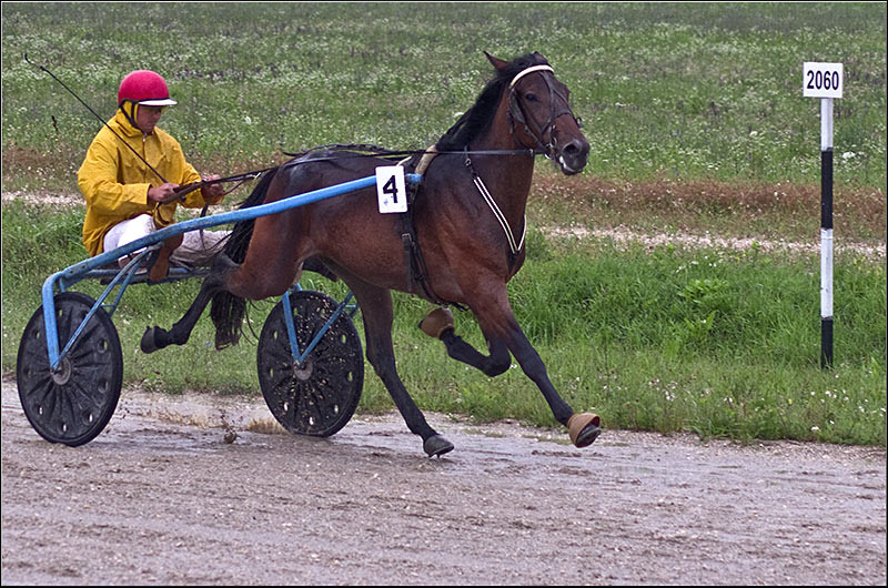 serban-vornicu_derbytrap_13