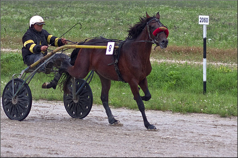 serban-vornicu_derbytrap_14