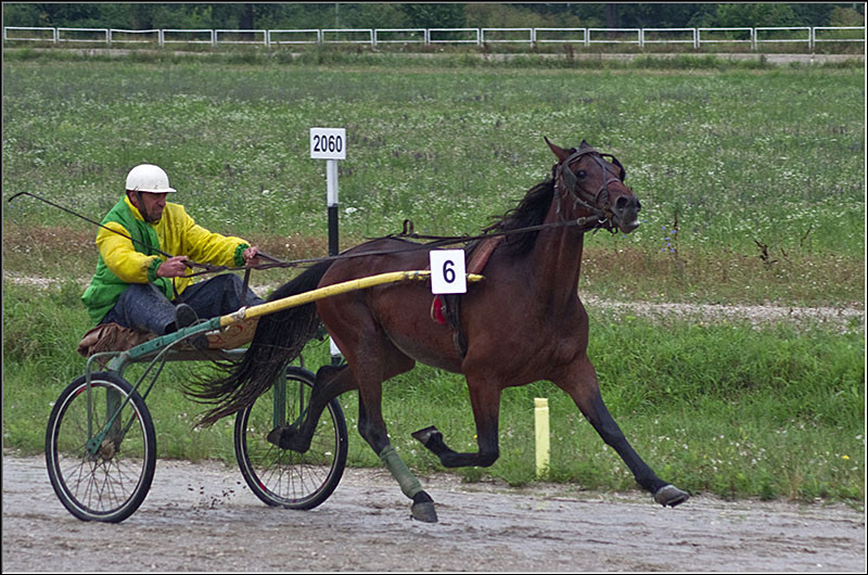 serban-vornicu_derbytrap_15