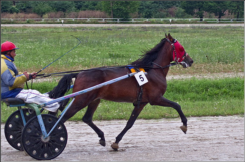 serban-vornicu_derbytrap_16