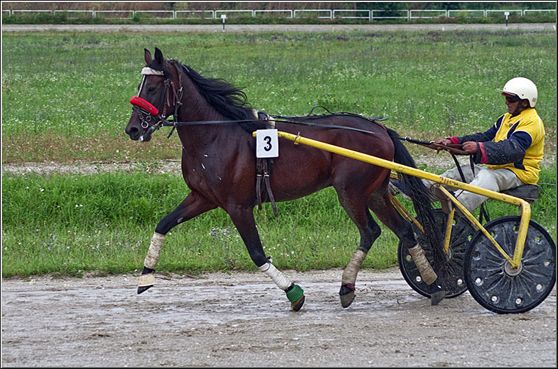 serban-vornicu_derbytrap_18