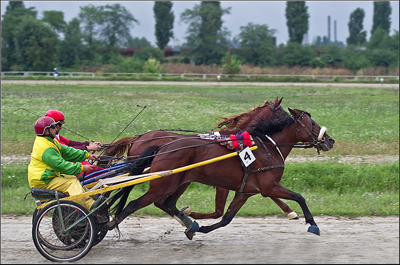 serban-vornicu_derbytrap_19