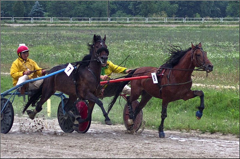 serban-vornicu_derbytrap_25