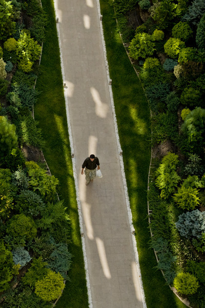 dungha_acvariu_dng7065