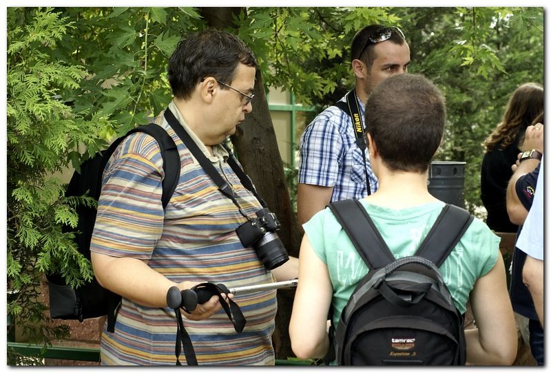 portet-de-alex-ds-11