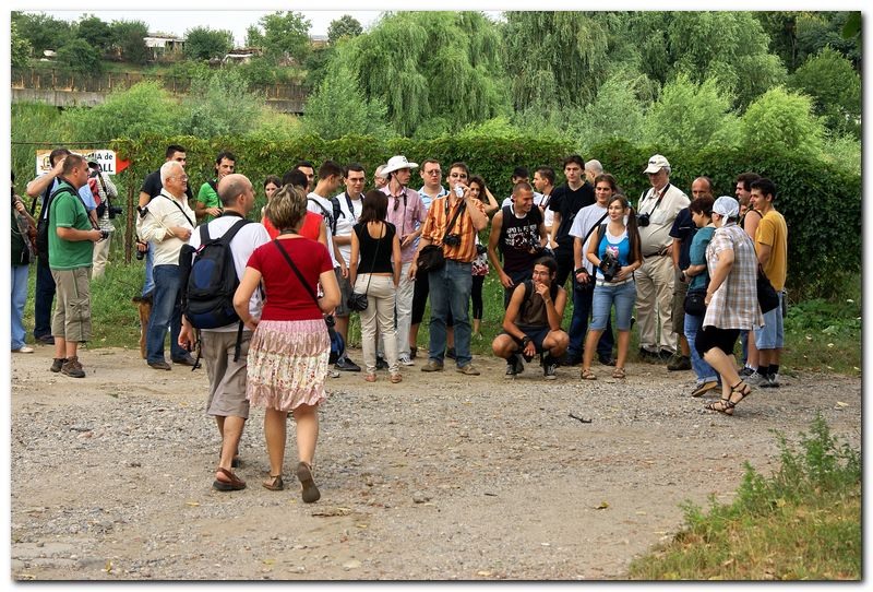 portet-de-alex-ds-24