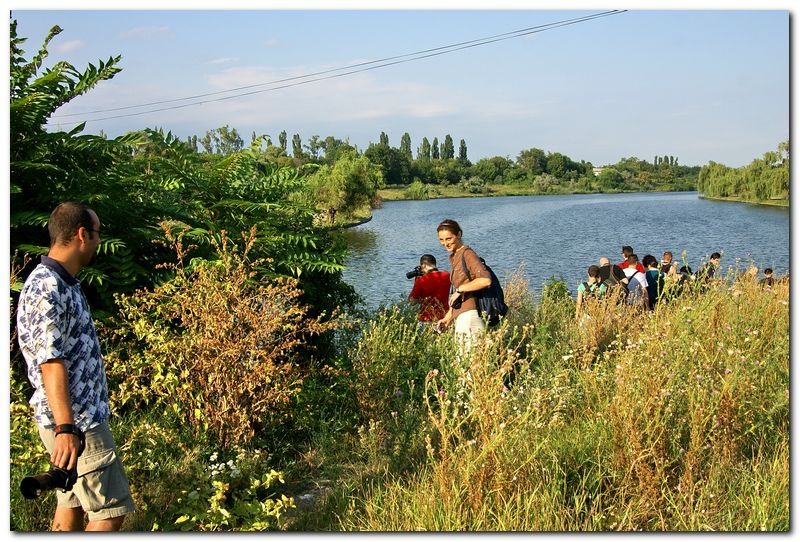 portet-de-alex-ds-26